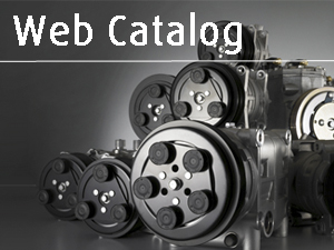 Search the Web Catalog